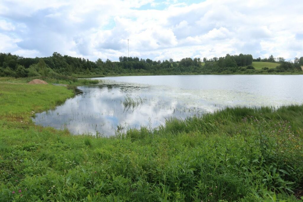Tollari järv 2024