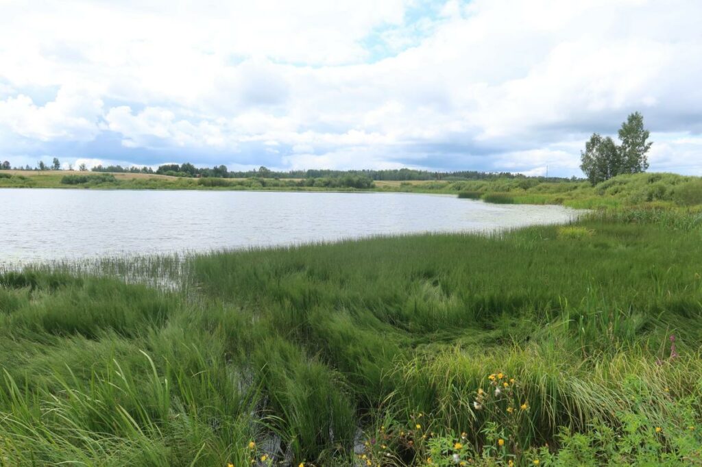 Tollari järv 2024