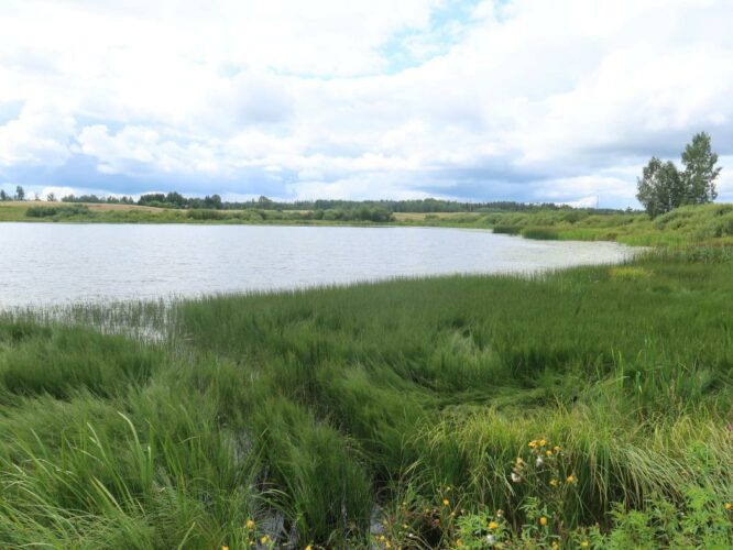 Tollari järv 2024