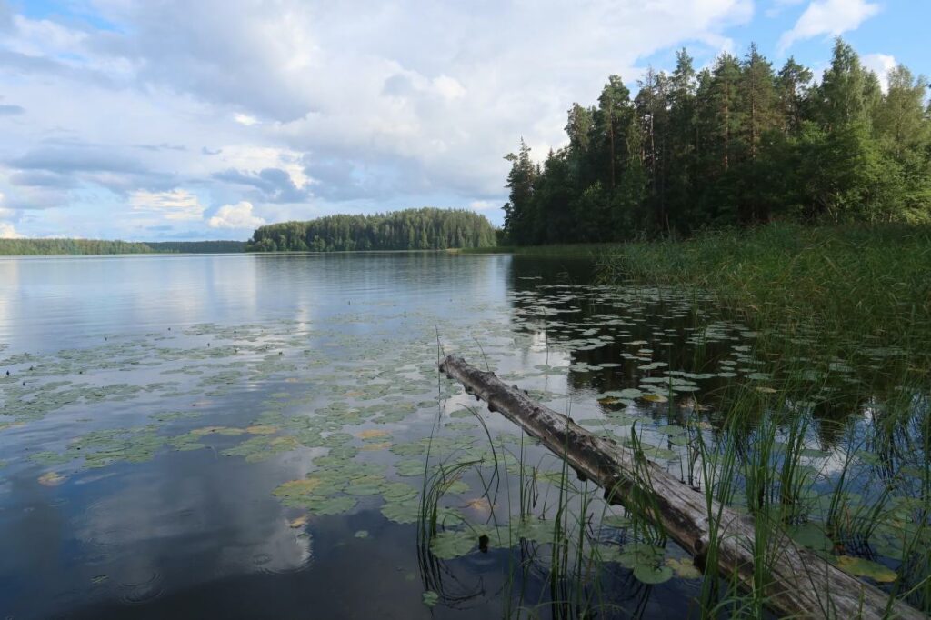 Ähijärv 2024