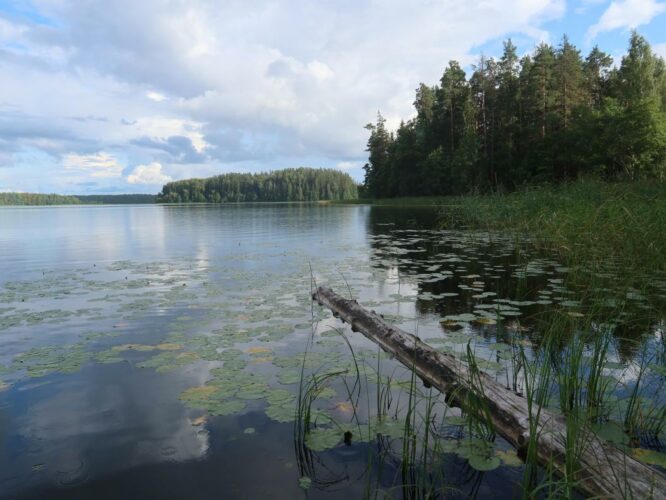 Ähijärv 2024