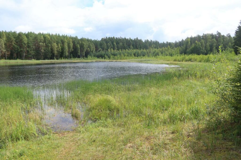 Õdri järv 2024