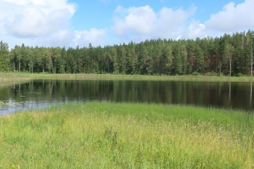 Õdri järv 2024