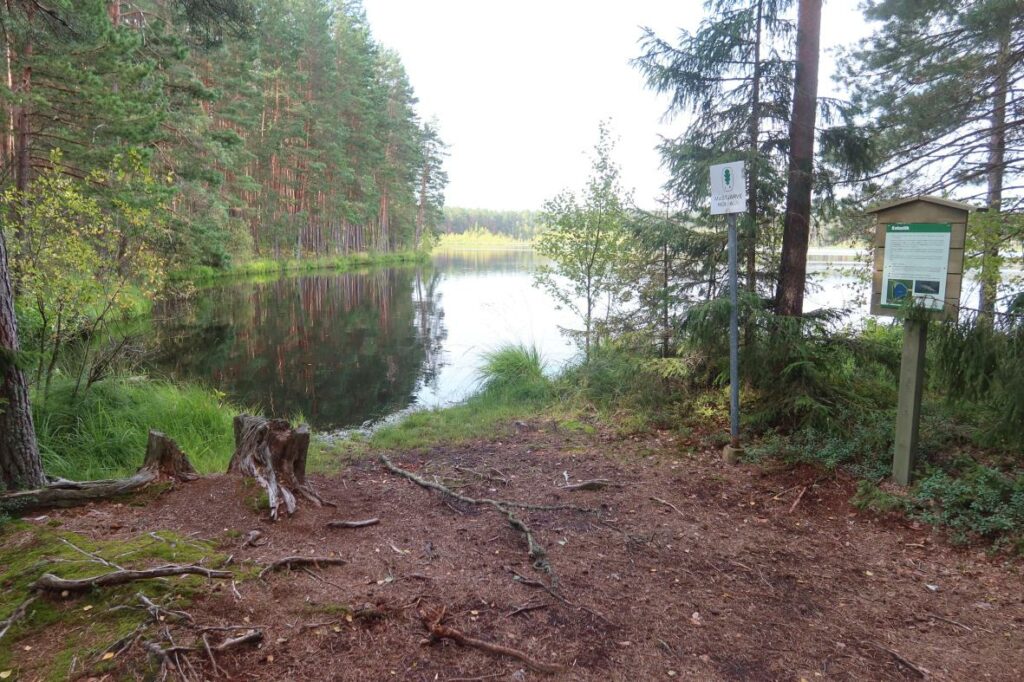Valguta Mustjärv 2024