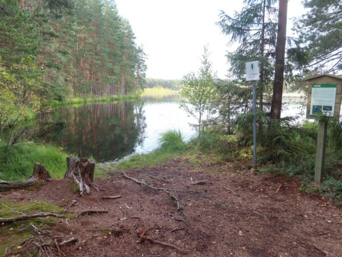 Valguta Mustjärv 2024