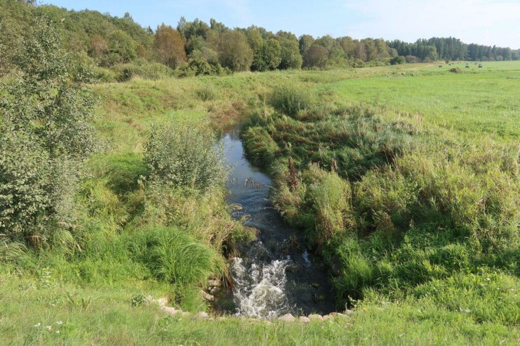 Antsla jõgi 2024