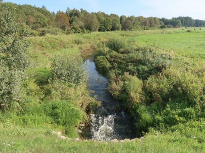 Antsla jõgi 2024