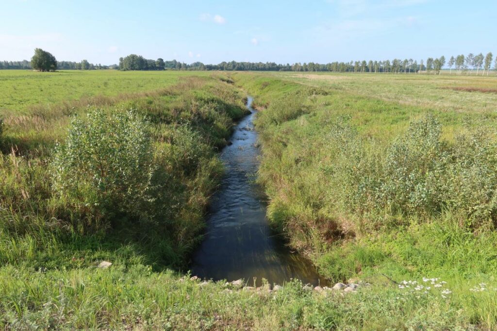 Antsla jõgi 2024