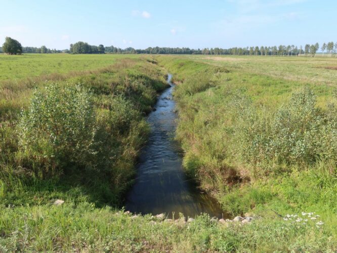 Antsla jõgi 2024