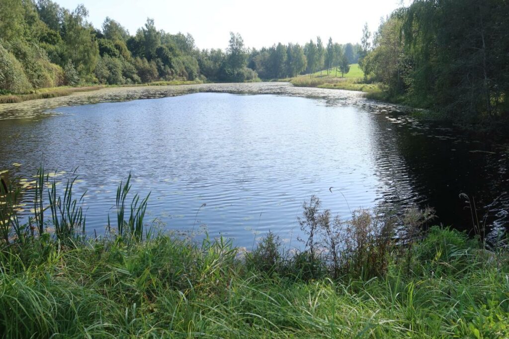 Nuuda paisjärv 2024