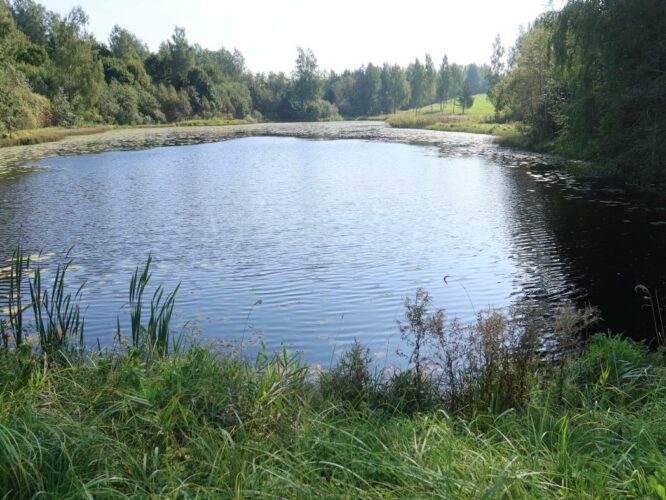 Nuuda paisjärv 2024