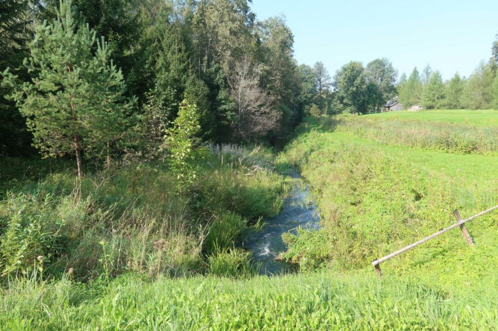 Halliste jõgi 2024