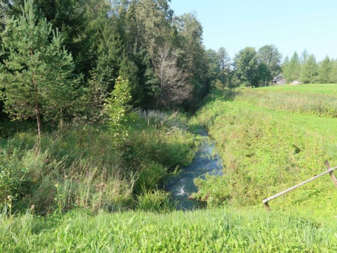 Halliste jõgi 2024