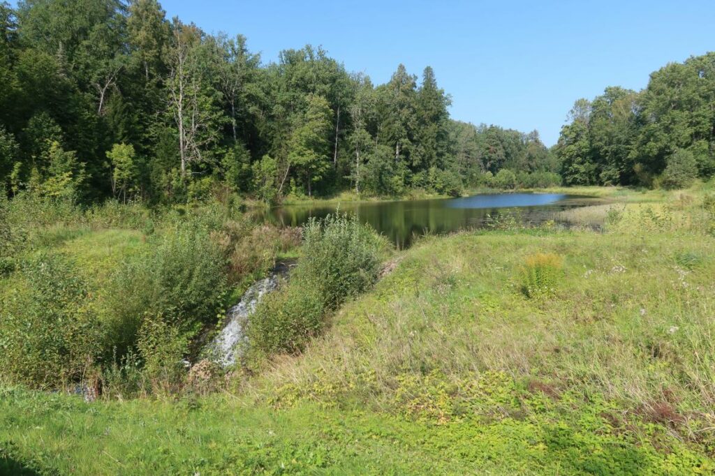 Kutsiku paisjärv 2024