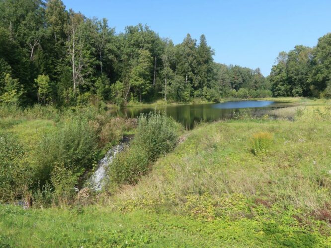 Kutsiku paisjärv 2024