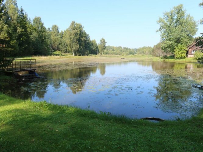 Linnutare paisjärv 2024