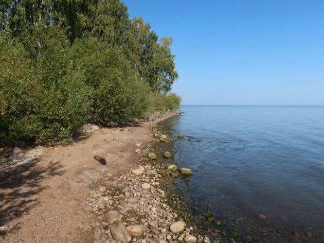 Peipsi järv 2024
