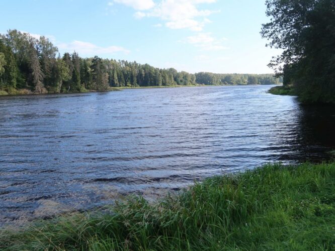 Põlva paisjärv 2024