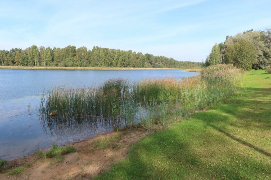 Verevi järv 2024