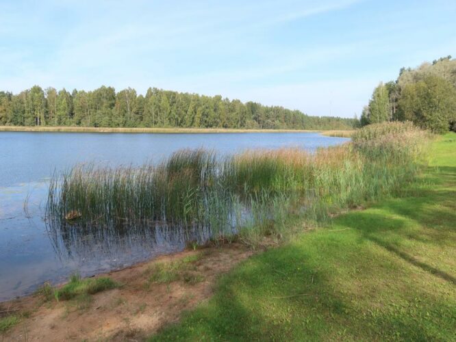 Verevi järv 2024