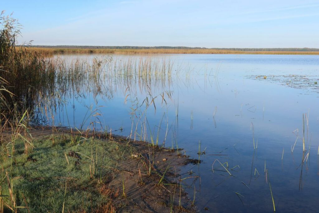 Võrtsjärv 2024