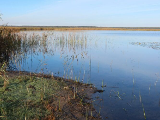Võrtsjärv 2024