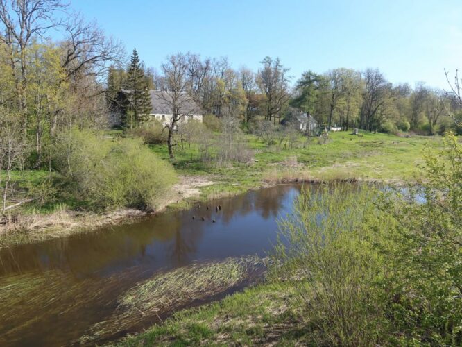 Vigala jõgi 2023
