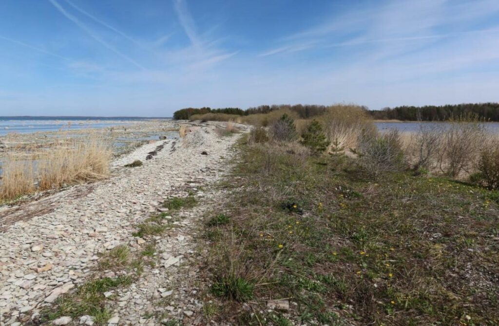 Läänemeri ja Kolviku järv 2023