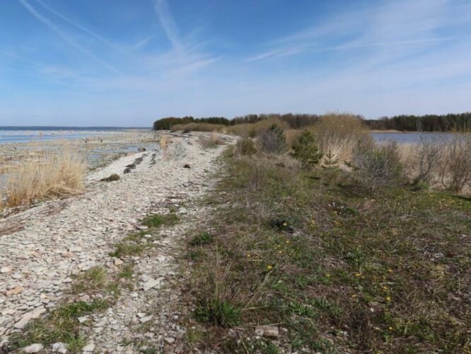 Läänemeri ja Kolviku järv 2023