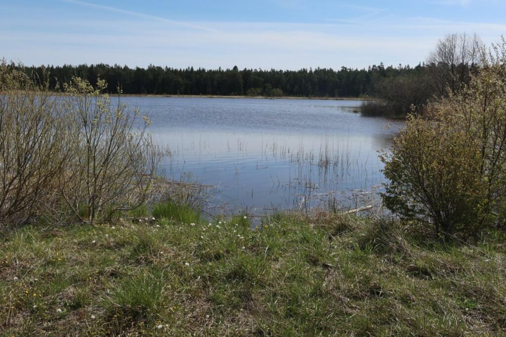 Kolviku järv 2023