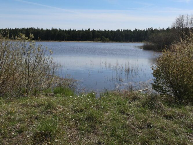 Kolviku järv 2023