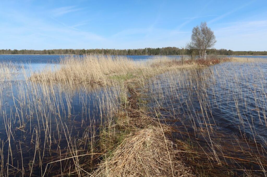 Veskijärv 2023