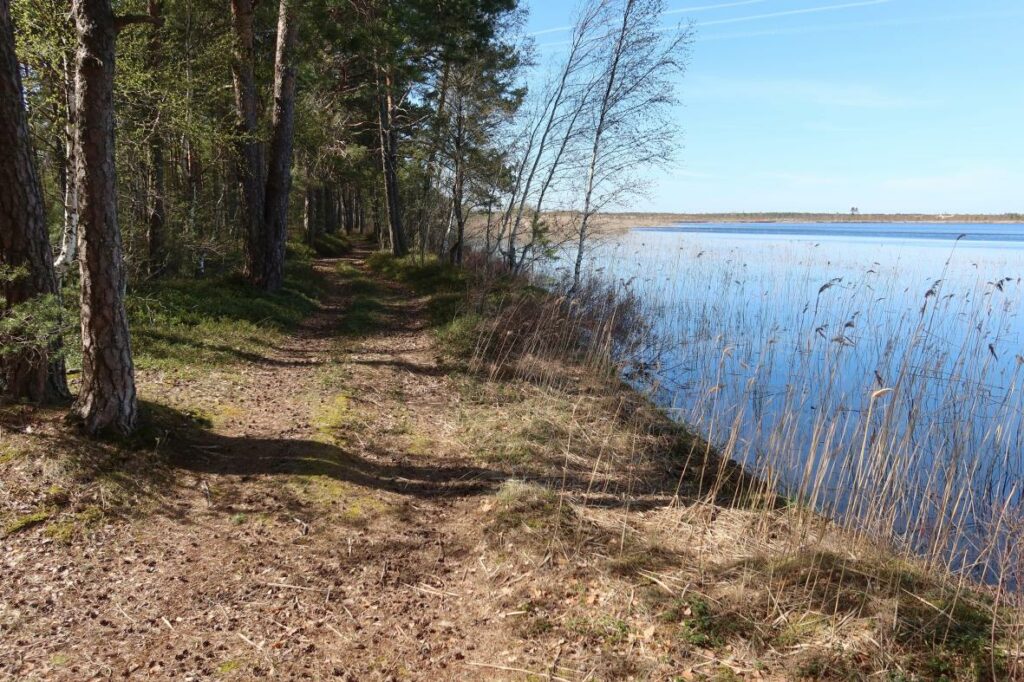 Veskijärv 2023