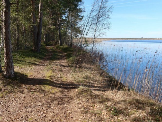 Veskijärv 2023