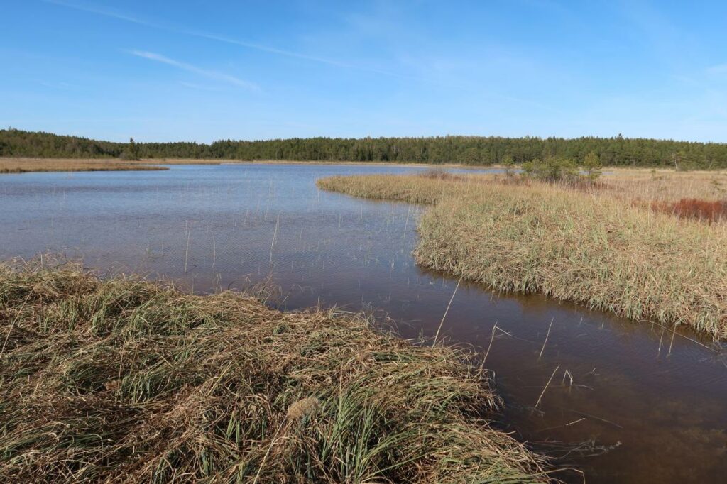 Valgejärv 2023