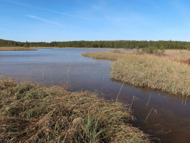 Valgejärv 2023
