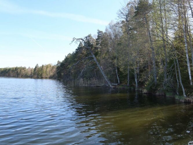 Järveotsa järv 2023