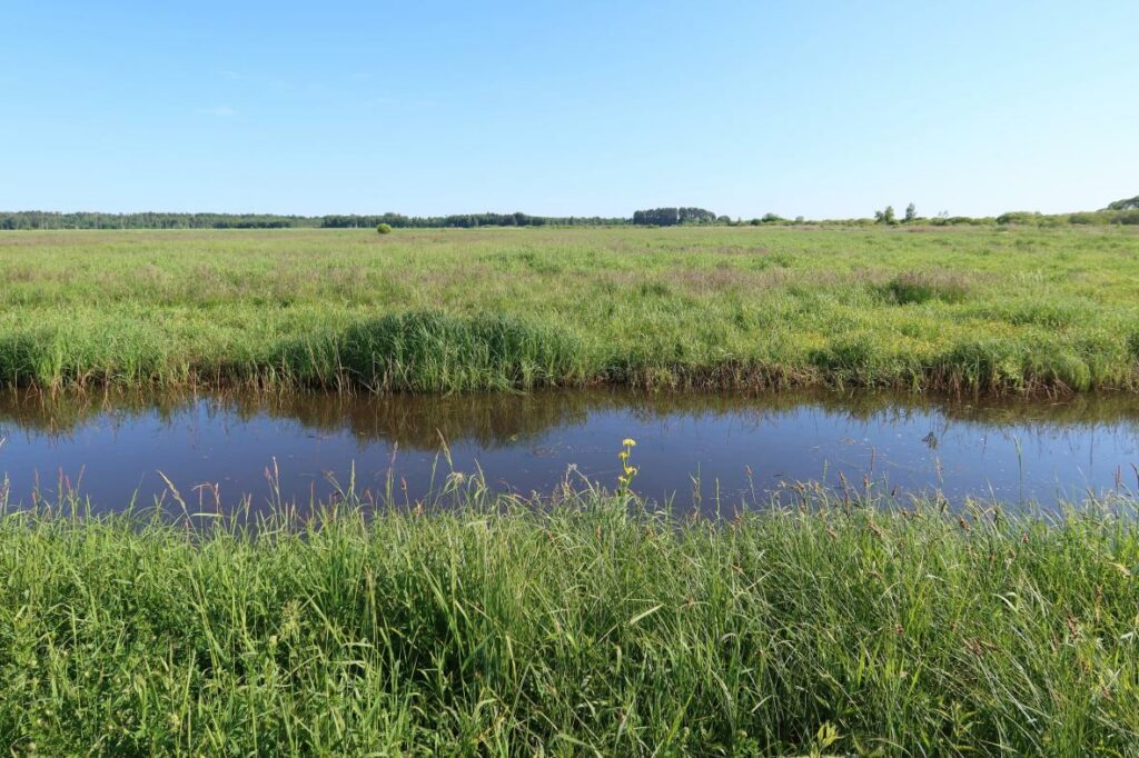 Valguta polder 2023