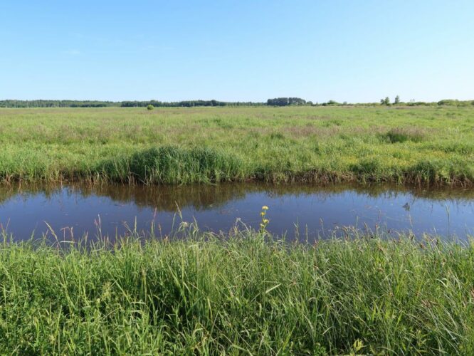 Valguta polder 2023