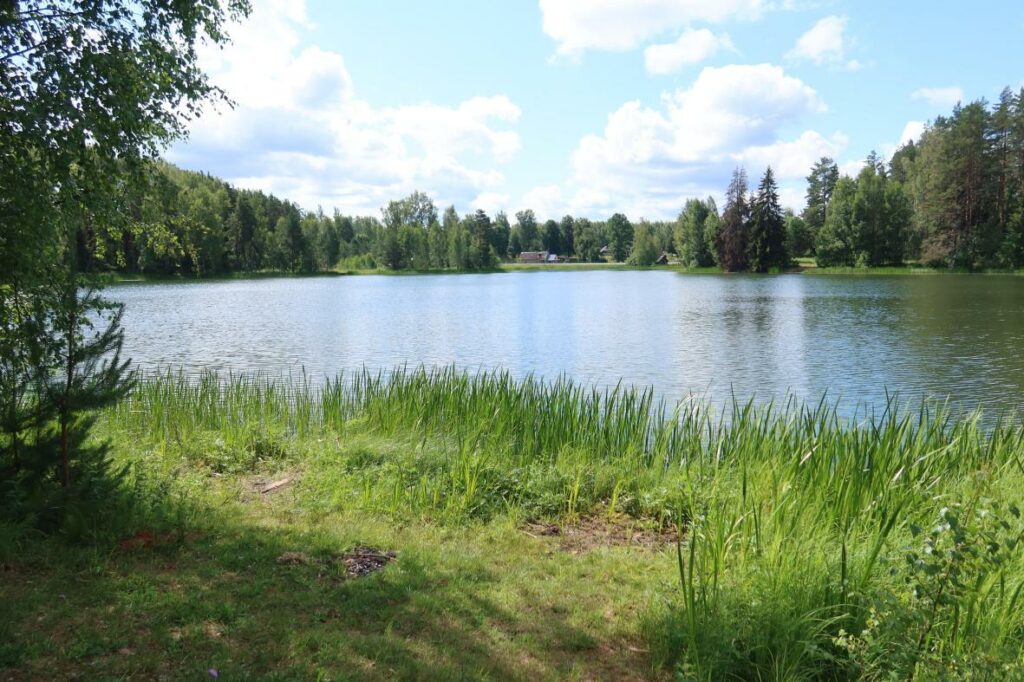 Kõrdsijärv 2023