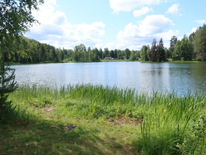 Kõrdsijärv 2023