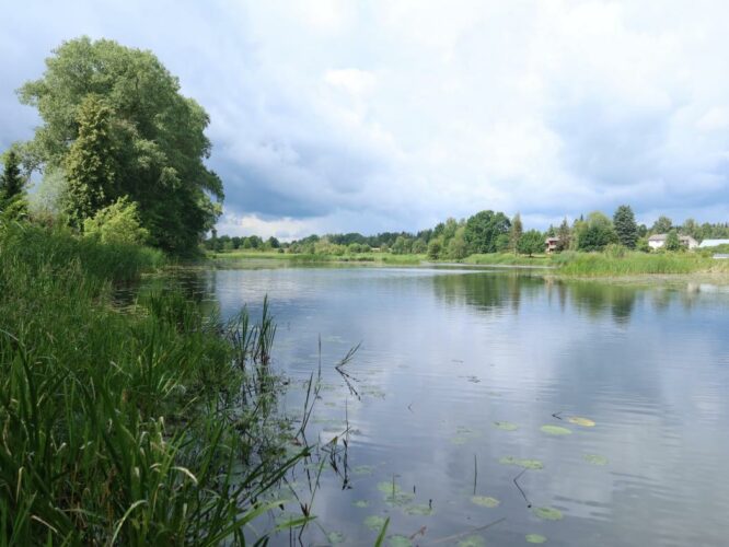 Räpina paisjärv 2023