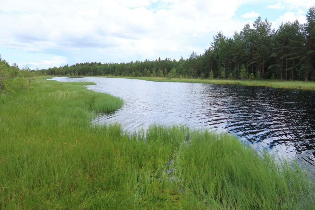 Padojärv 2023