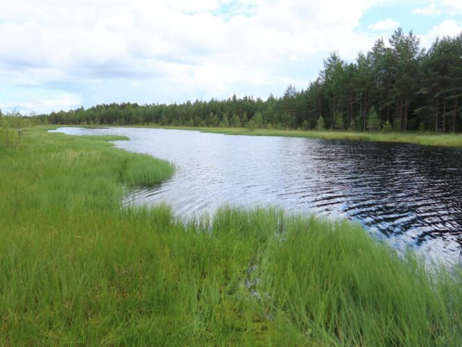 Padojärv 2023