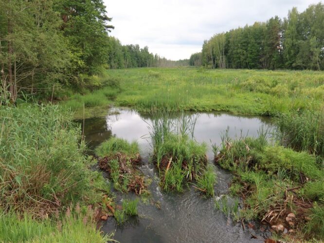 Pahtpää jõgi 2023