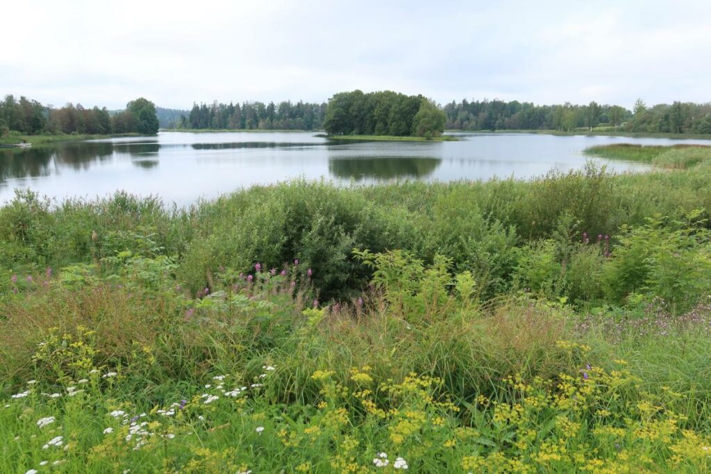 Pangodi järv 2023
