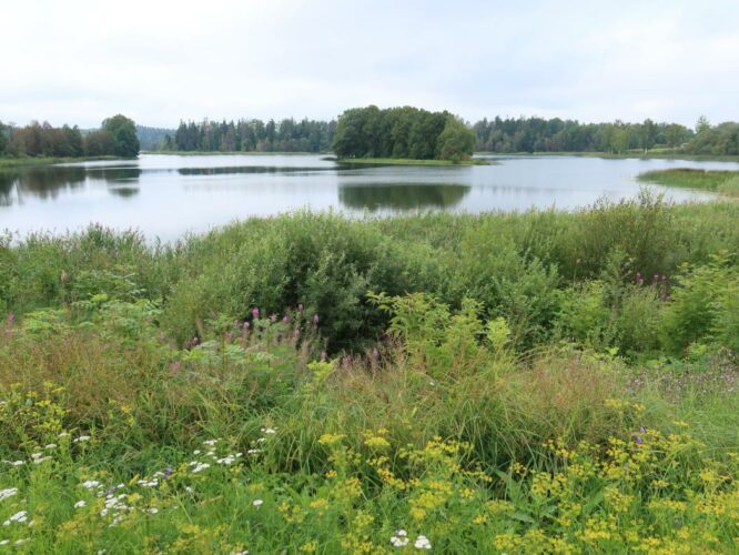 Pangodi järv 2023