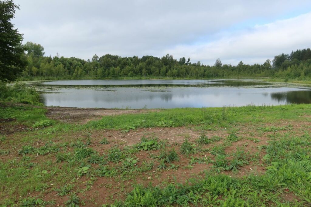 Jursa järv 2023