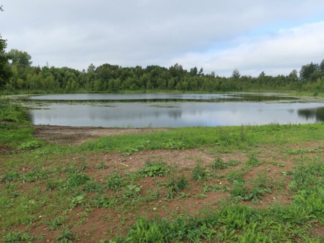 Jursa järv 2023
