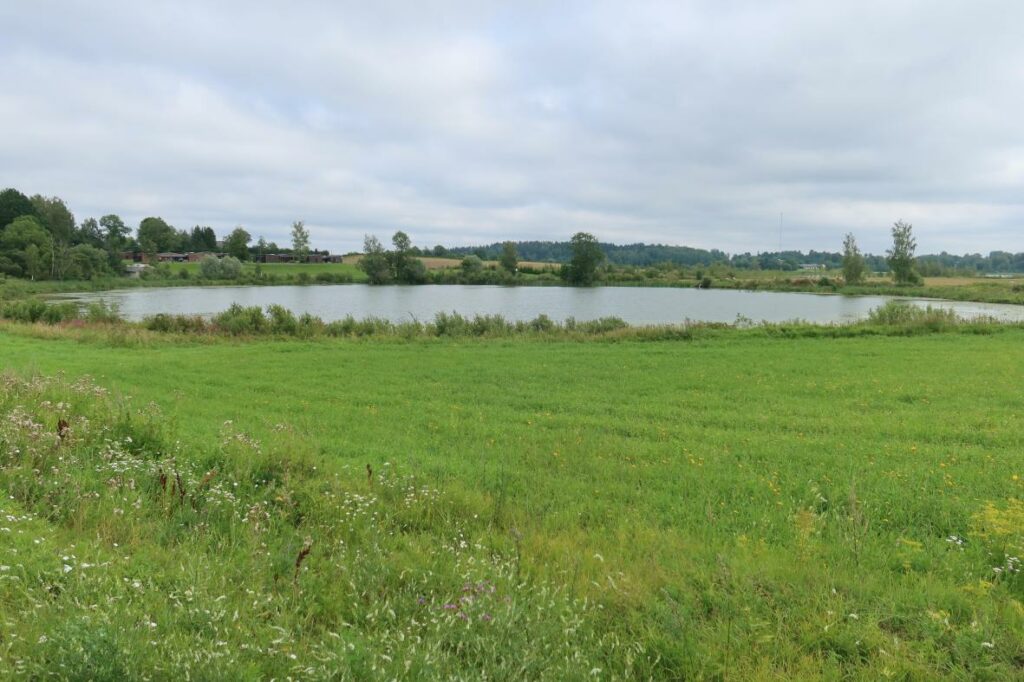 Kodijärv 2023